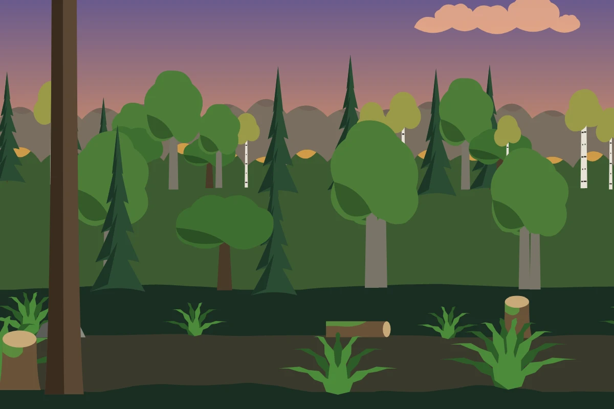 Paysage Forêt