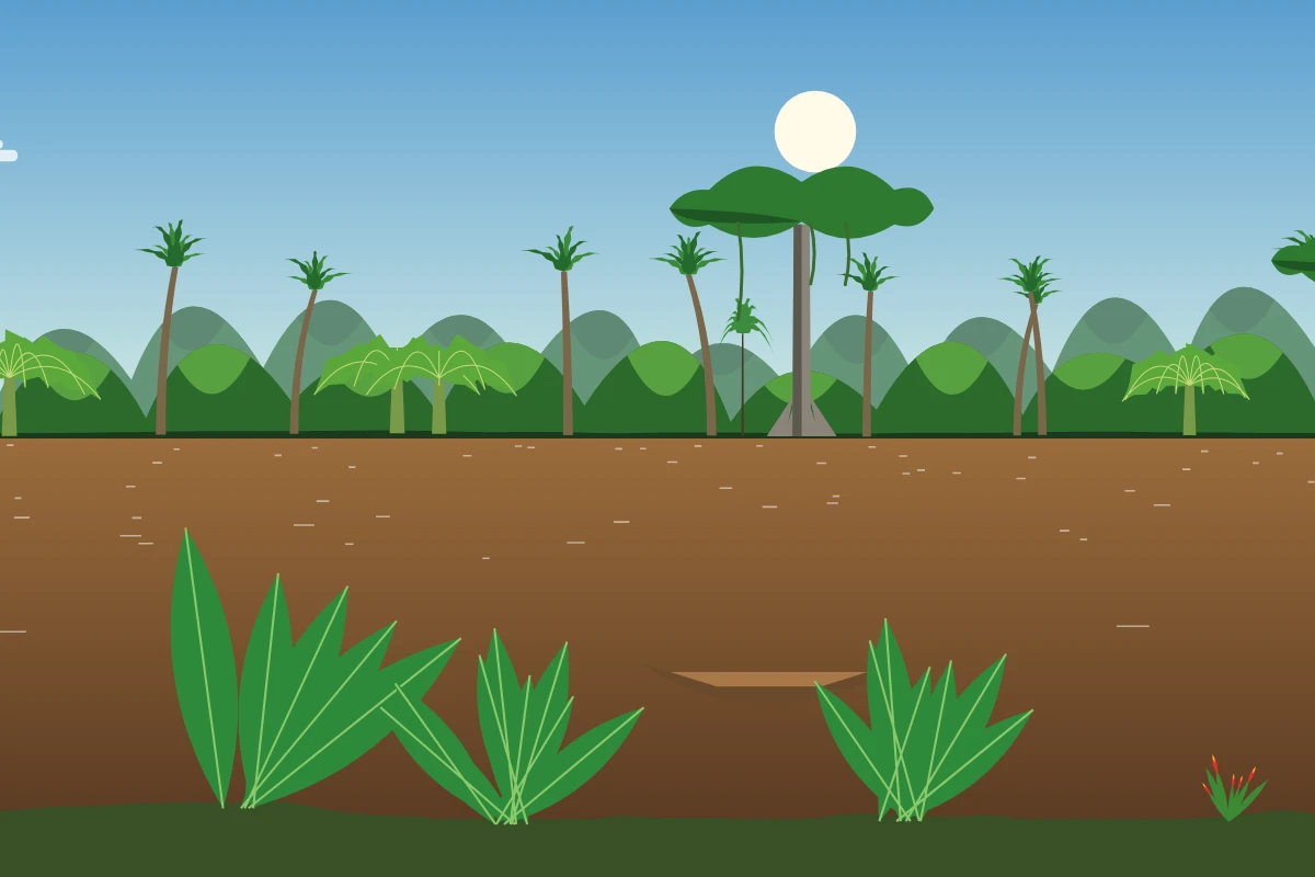 Paysage Jungle