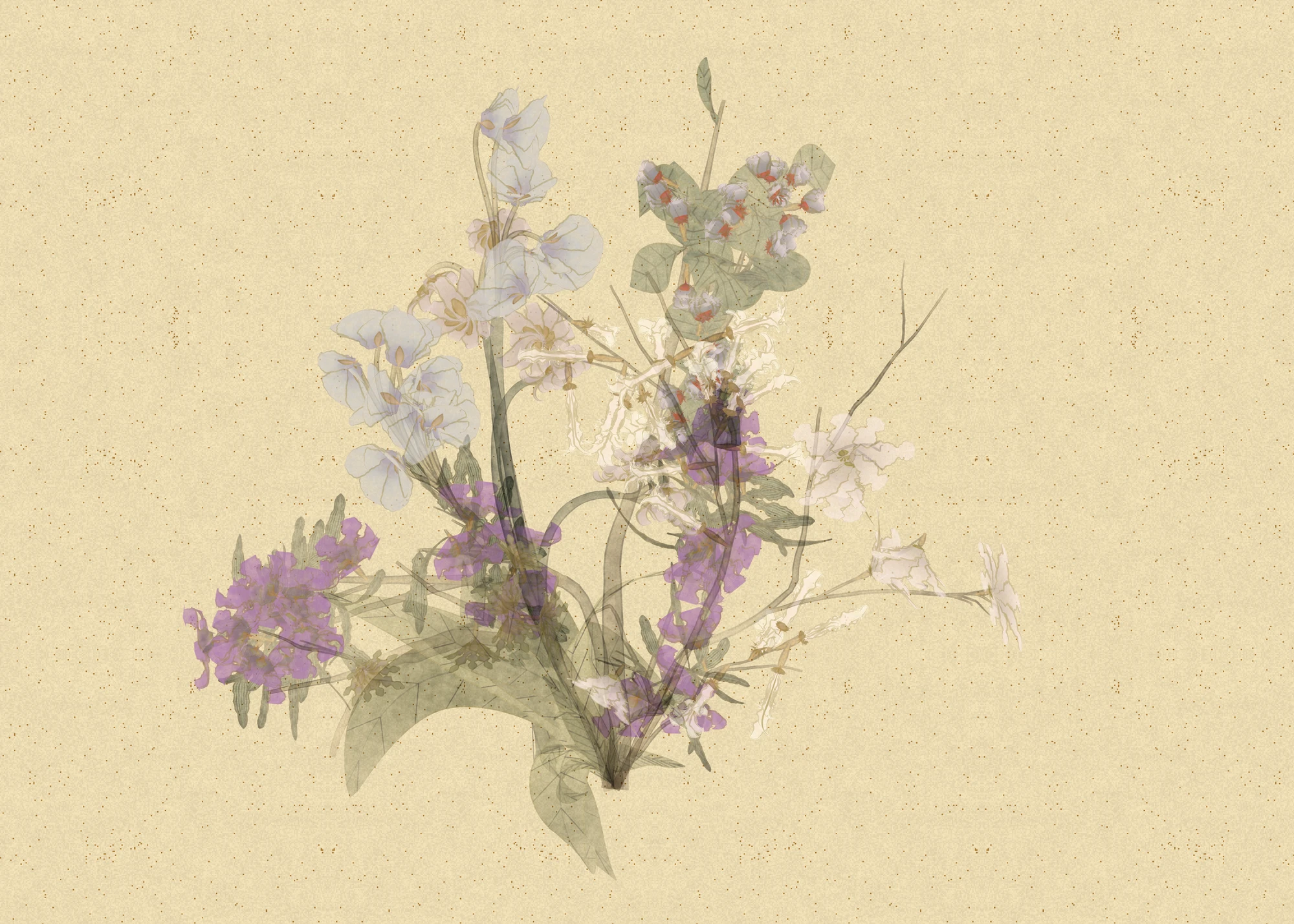 Bouquet, collection Fleurs
