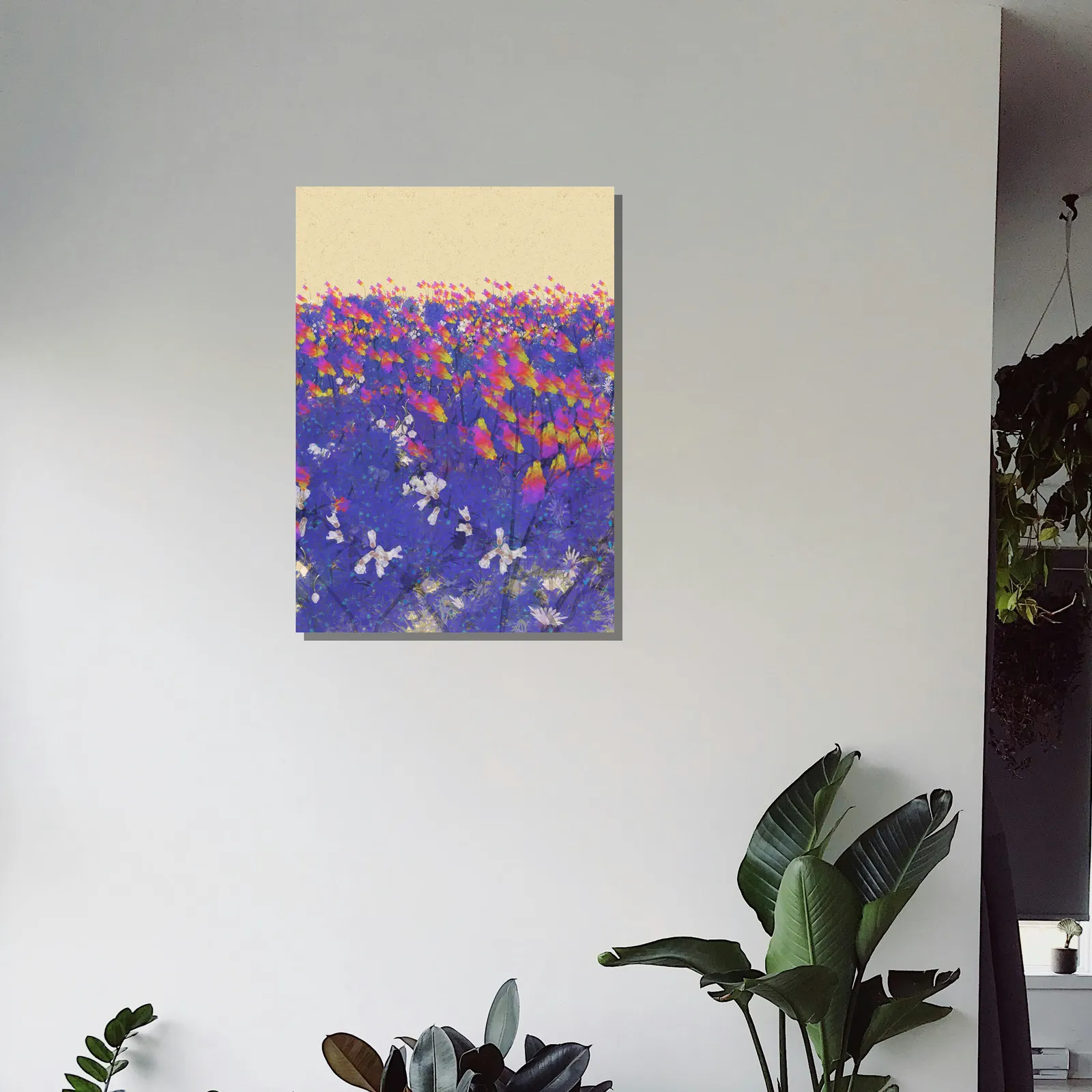 Bleuet, collection Fleurs, en situation