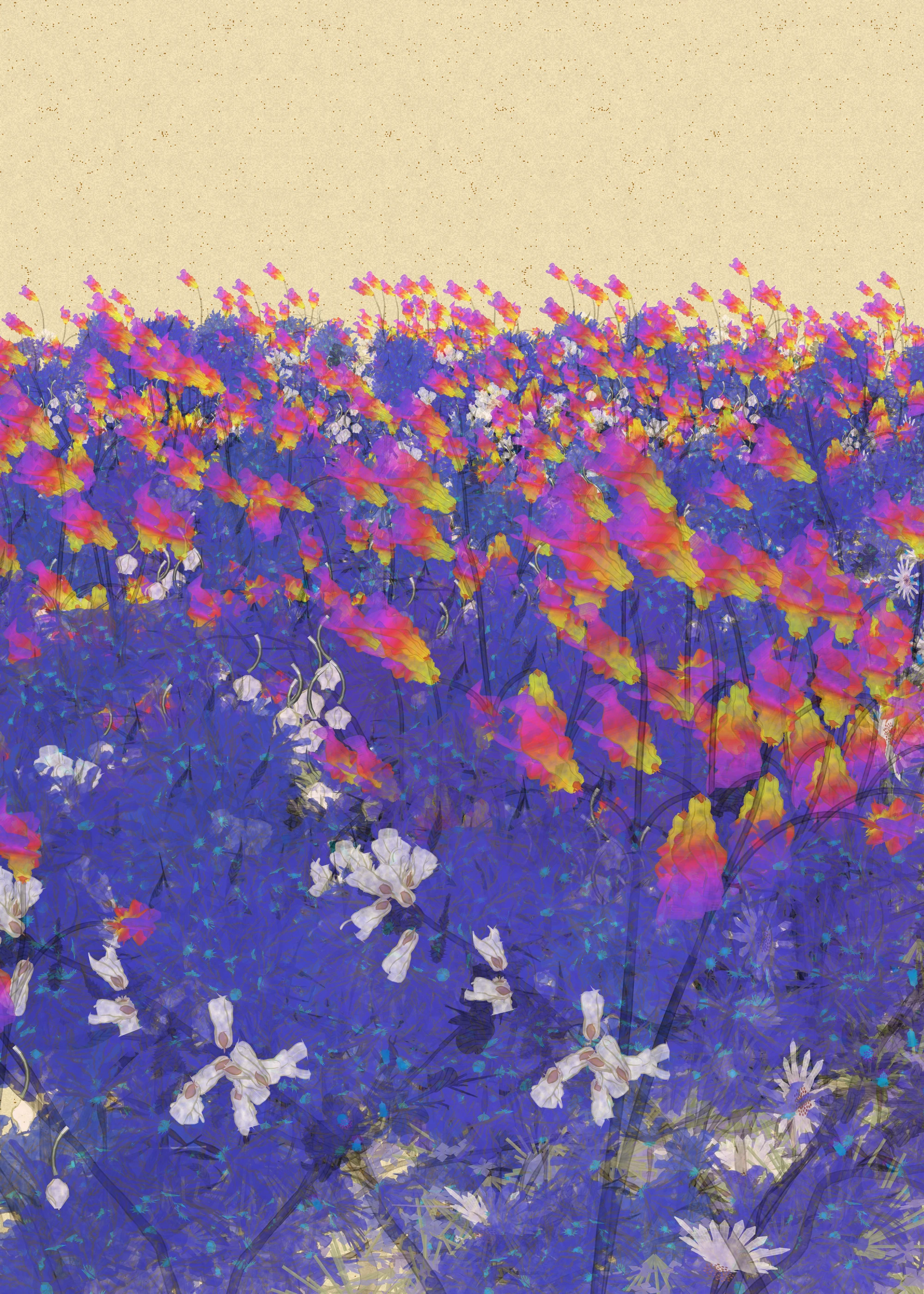 Collection Fleurs
